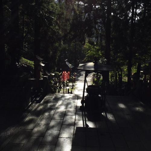 51765544_359363411316796_3081915549169483776_n